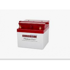 RG24-15M Concorde Battery® Premium Aircraft